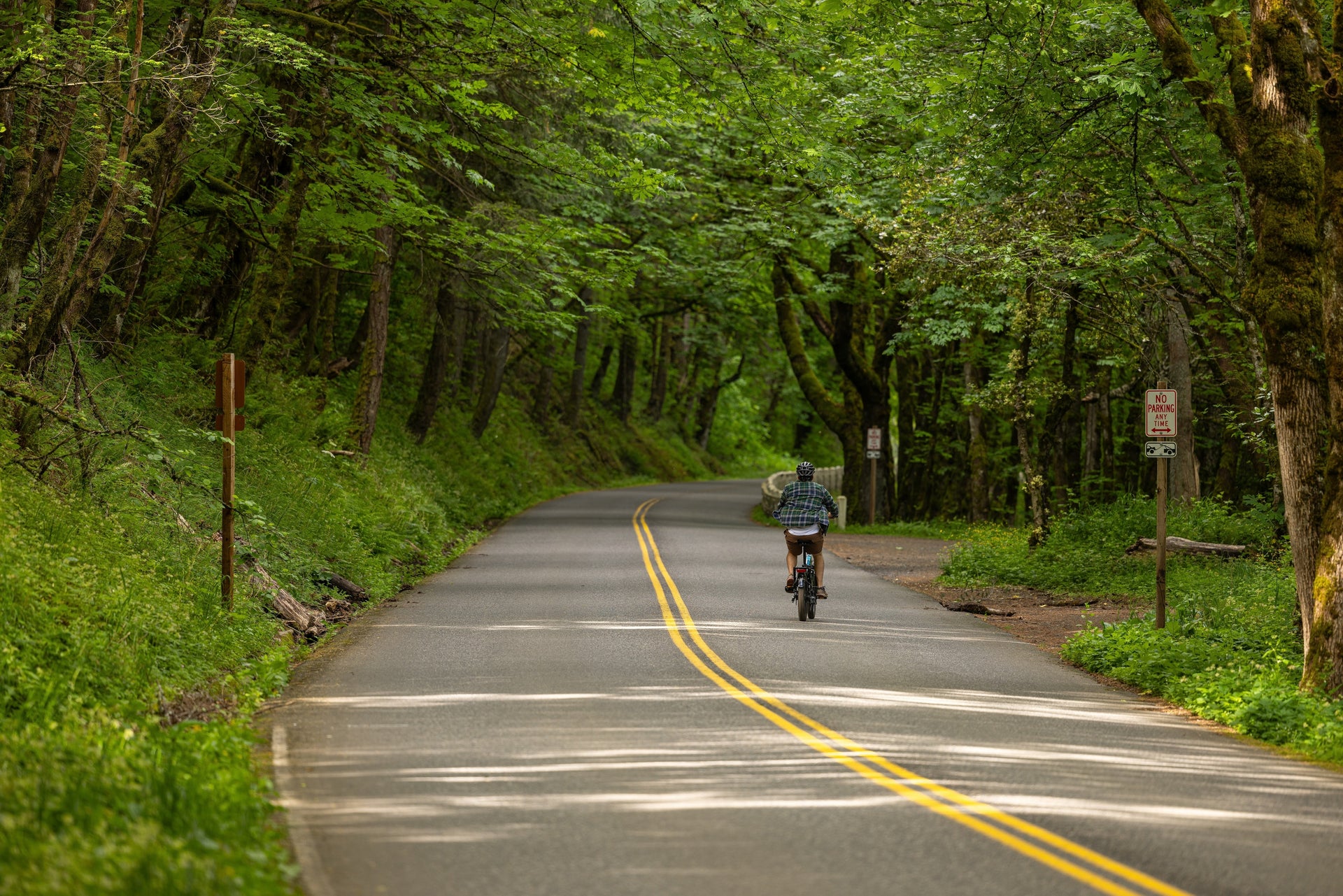 Una persona recorre en bicicleta una carretera entre árboles